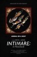 Intimare: A Prologue
