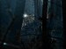 Into the Woods