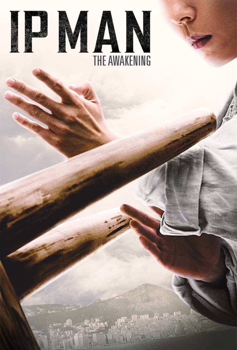 Poster de IP MAN: THE AWAKENING en inglés