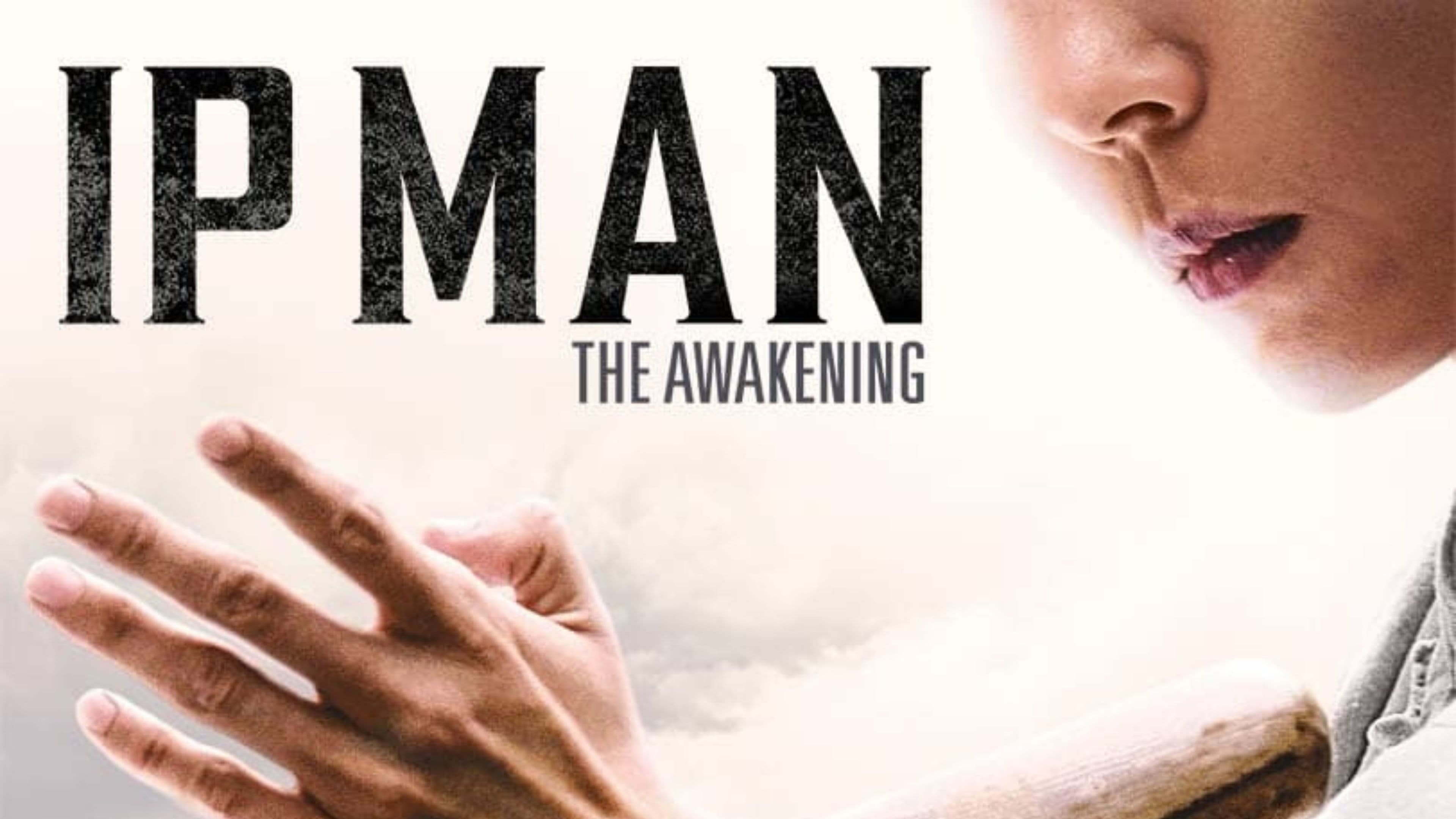 Foto de IP MAN: THE AWAKENING