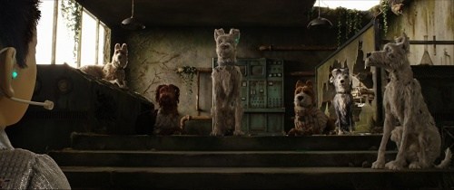 Foto de ISLA DE PERROS