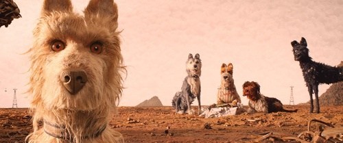 Foto de ISLA DE PERROS