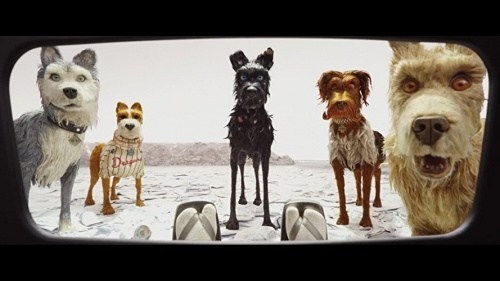 Foto de ISLA DE PERROS