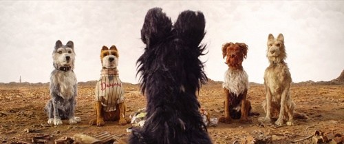 Foto de ISLA DE PERROS