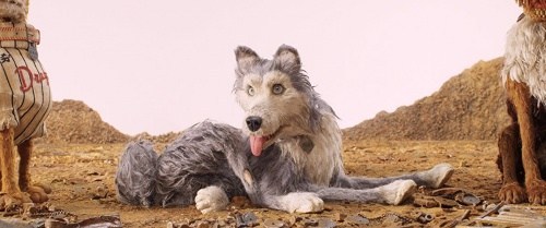 Foto de ISLA DE PERROS