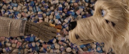 Foto de ISLA DE PERROS