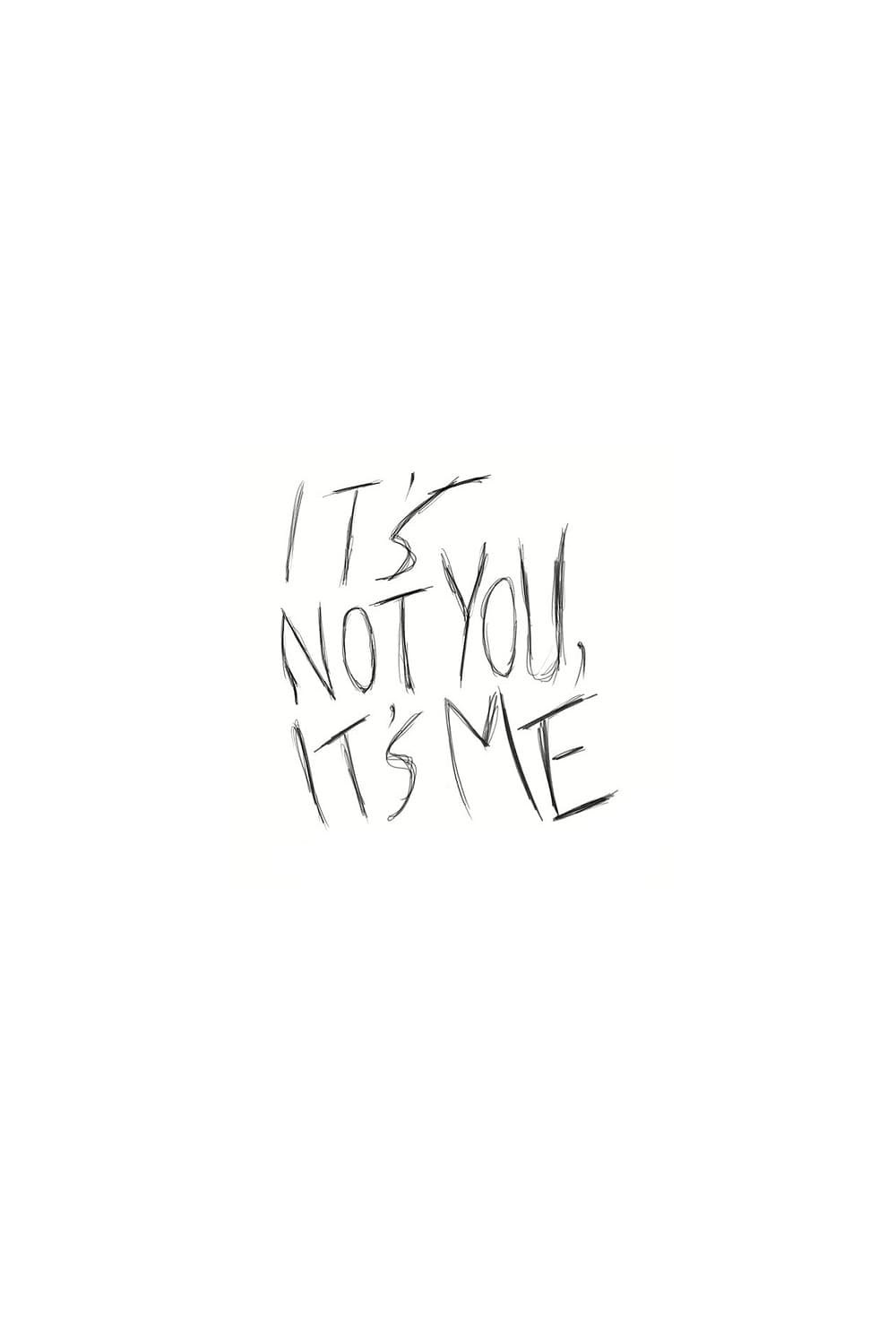 Poster de IT'S NOT YOU IT'S ME en inglés