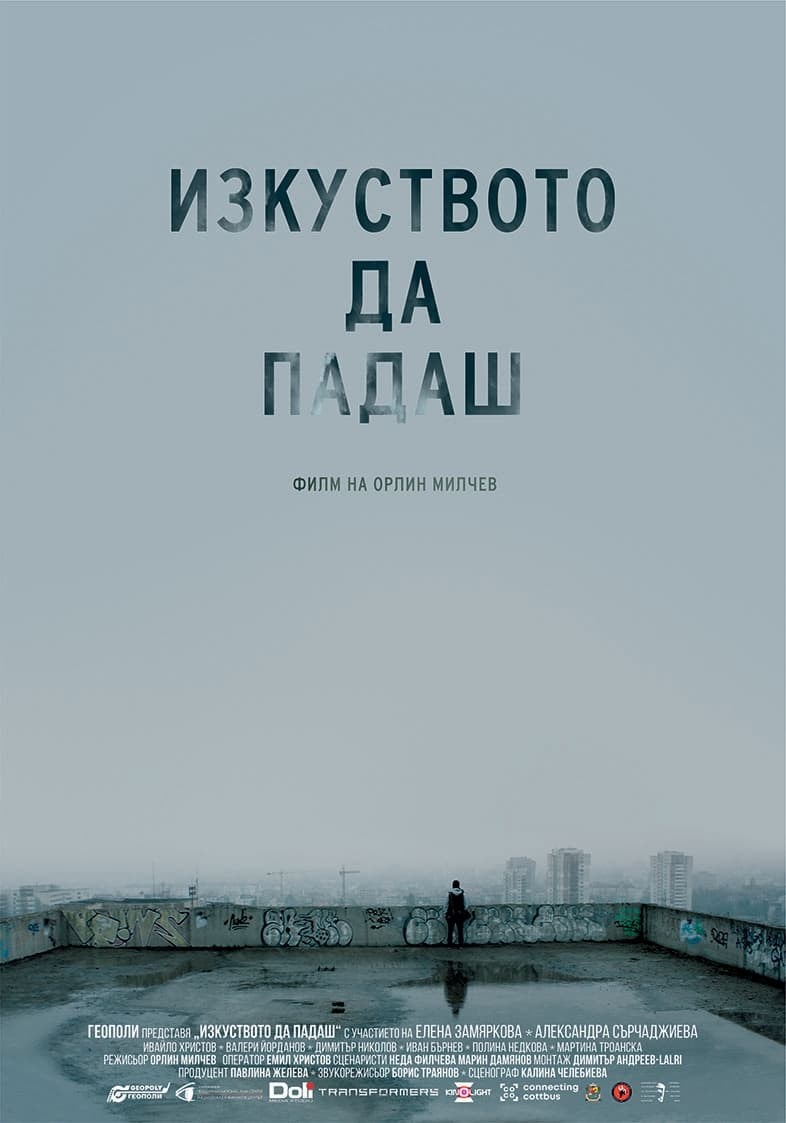 Poster de THE ART OF FALLING