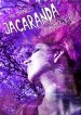 Jacaranda Season