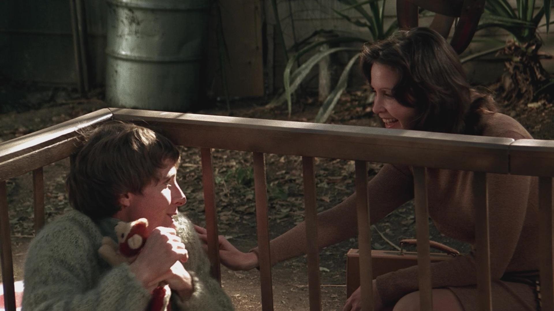 Foto de JAULA SIN TECHO