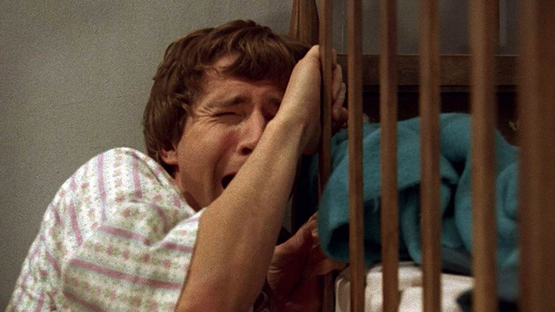 Foto de JAULA SIN TECHO