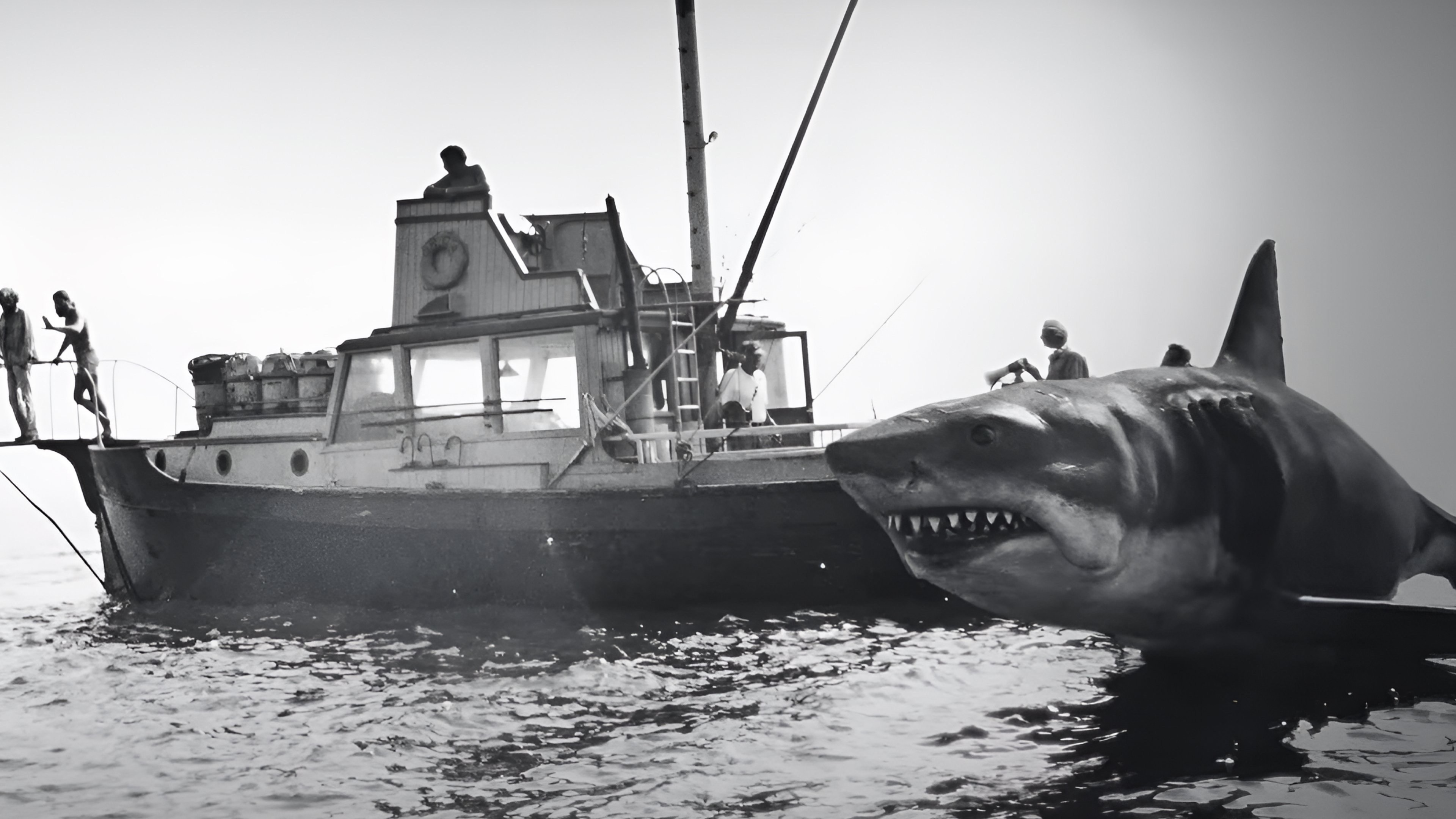 Foto de JAWS @ 50: THE DEFINITIVE INSIDE STORY