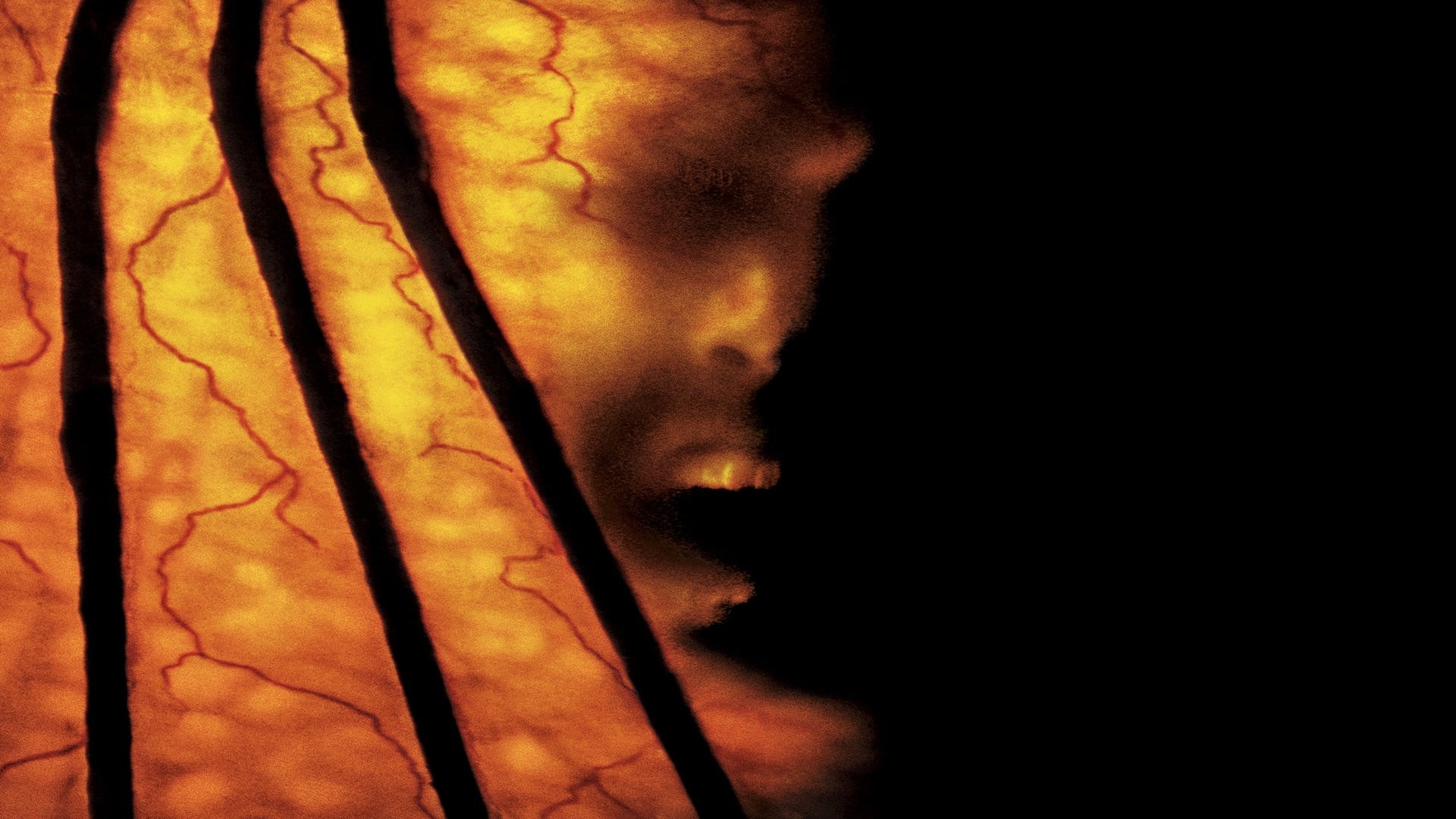 Foto de JEEPERS CREEPERS 2