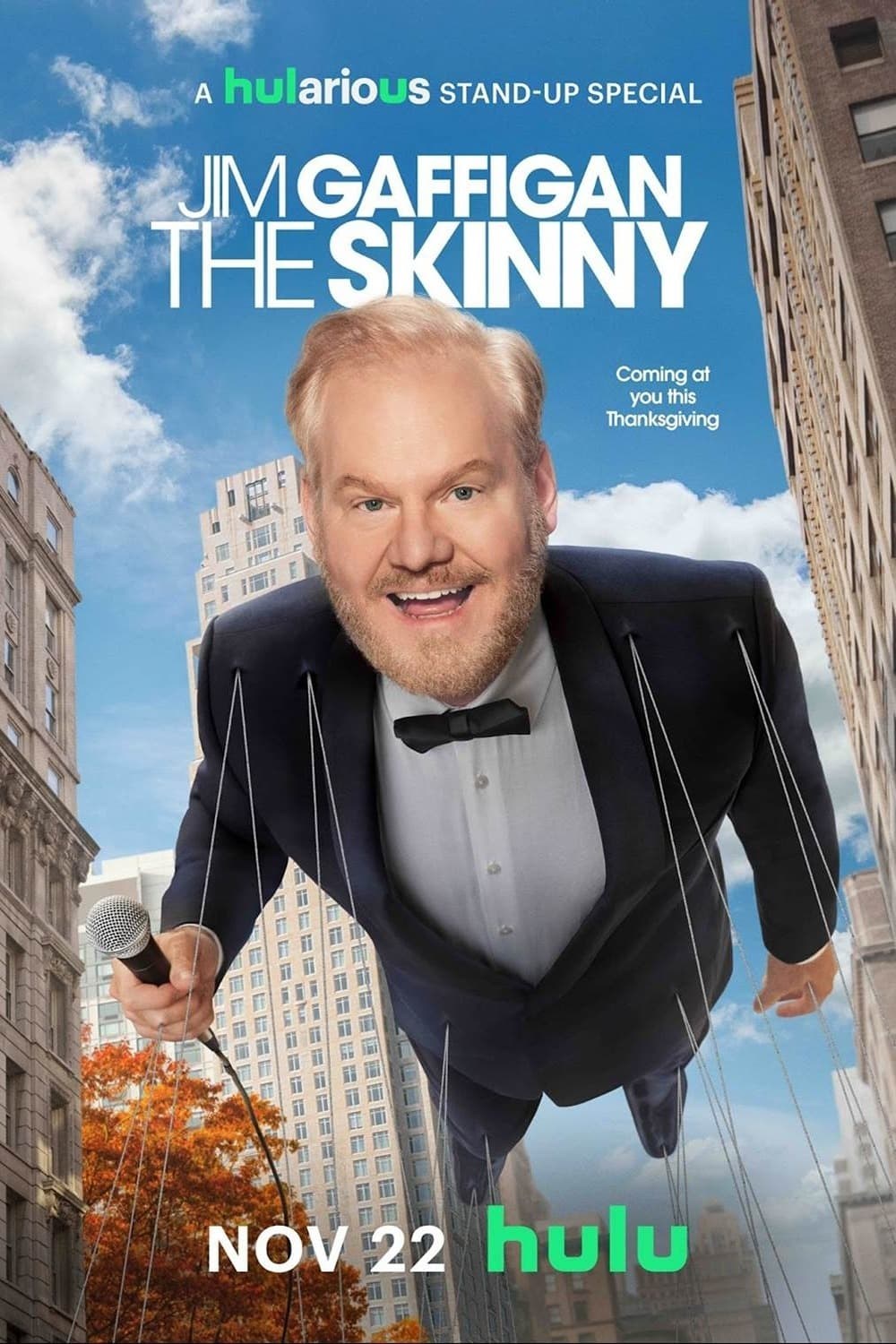 Poster de JIM GAFFIGAN: THE SKINNY