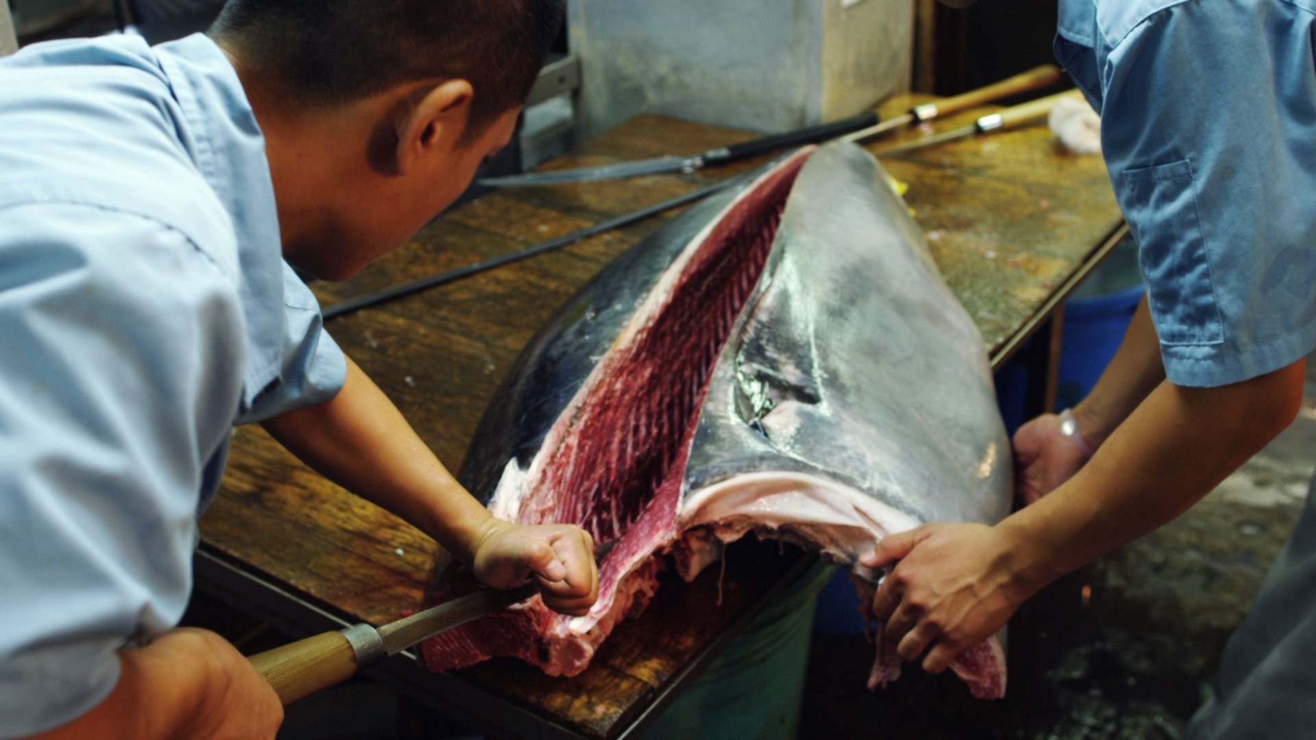 Foto de JIRO DREAMS OF SUSHI