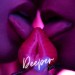 Jly: Deeper