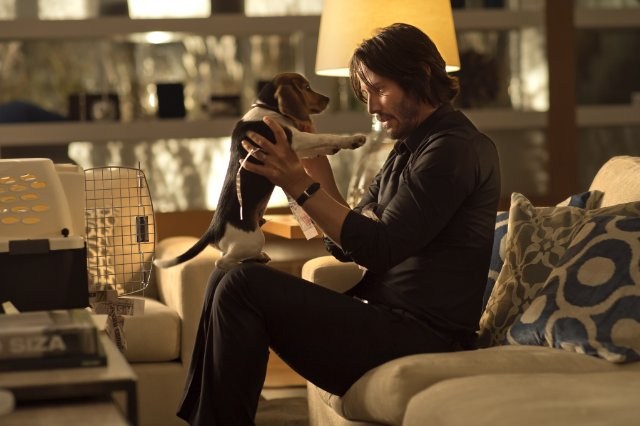 Foto de JOHN WICK (OTRO DÍA PARA MATAR)
