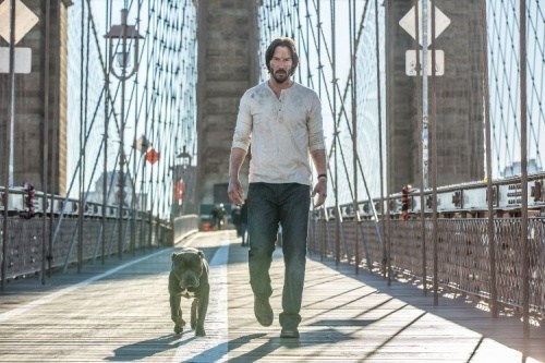 Foto de JOHN WICK. PACTO DE SANGRE