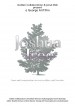 Joshua Tree