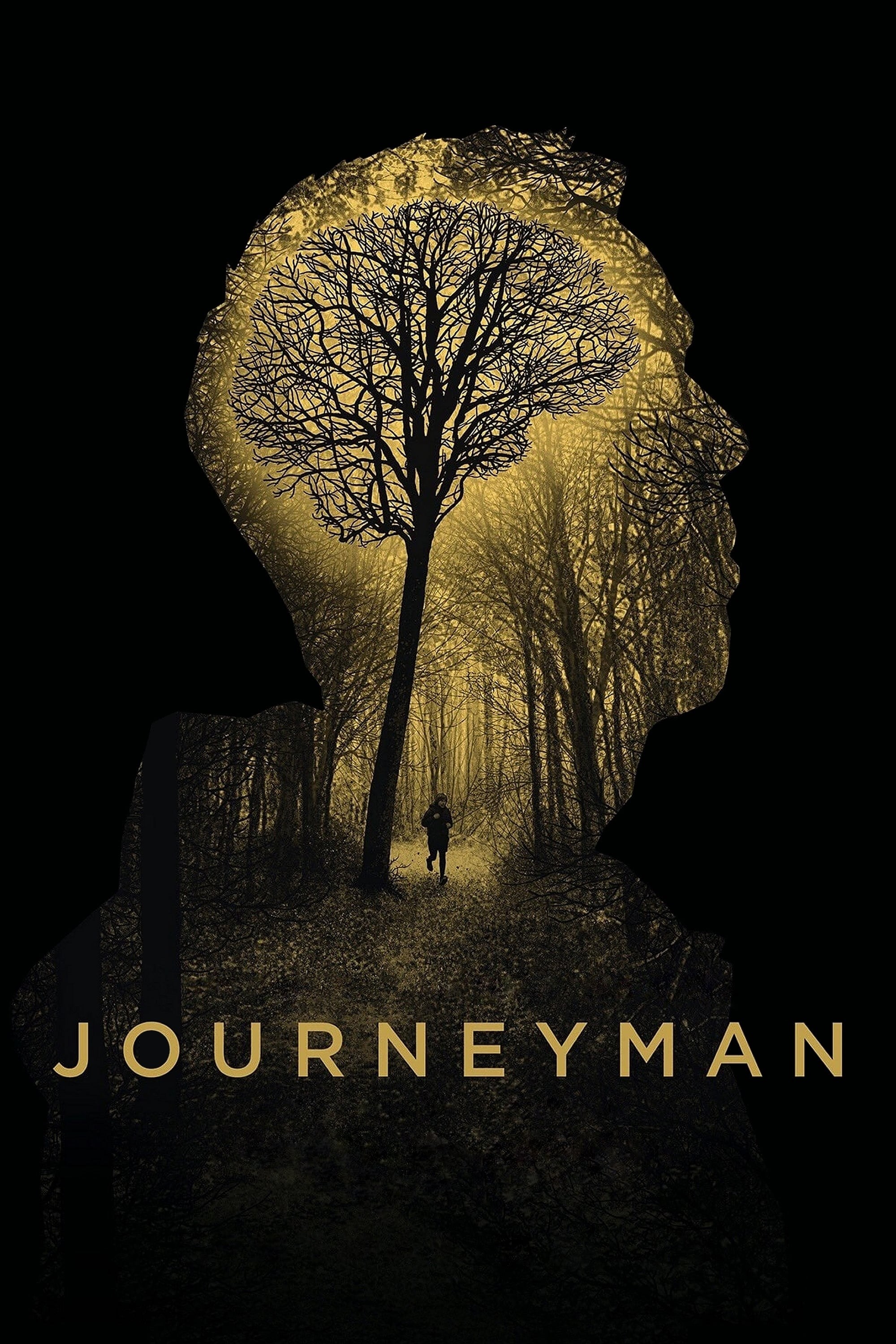 Poster de JOURNEYMAN en inglés