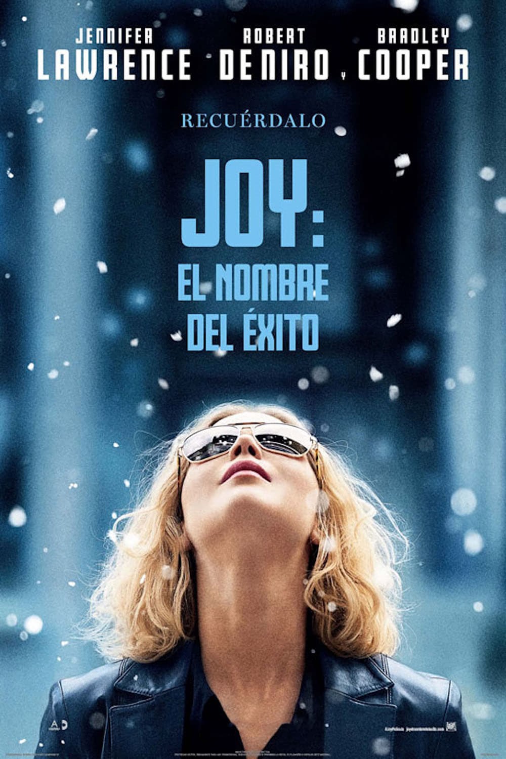 Poster de JOY en español
