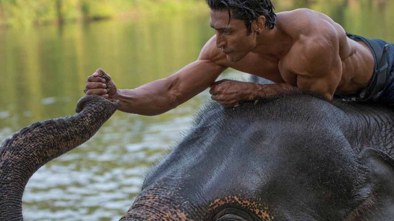 Foto de JUNGLE: PROTEGIENDO LA SELVA