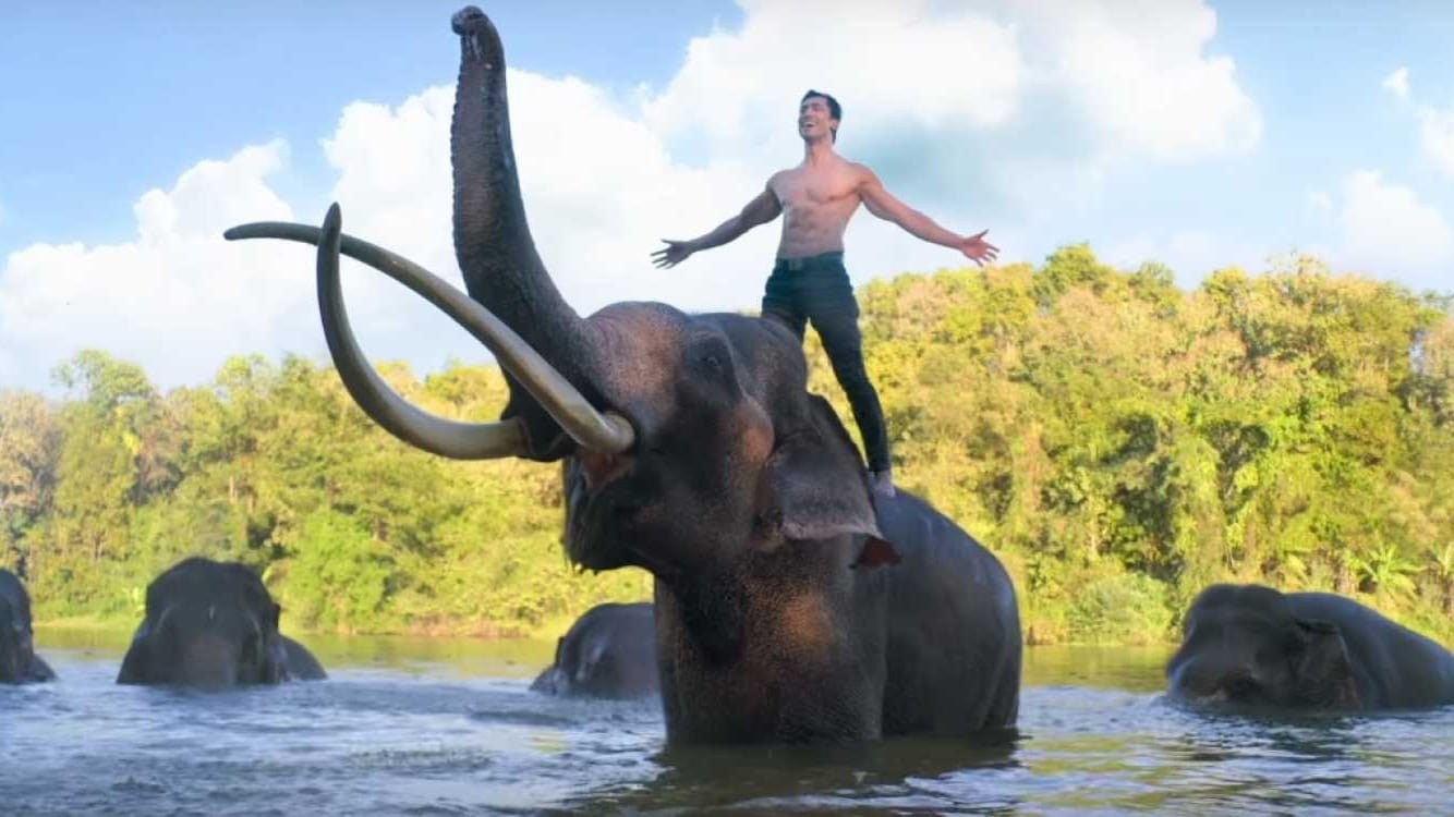 Foto de JUNGLE: PROTEGIENDO LA SELVA