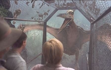 Foto de JURASSIC PARK III (PARQUE JURÁSICO III)