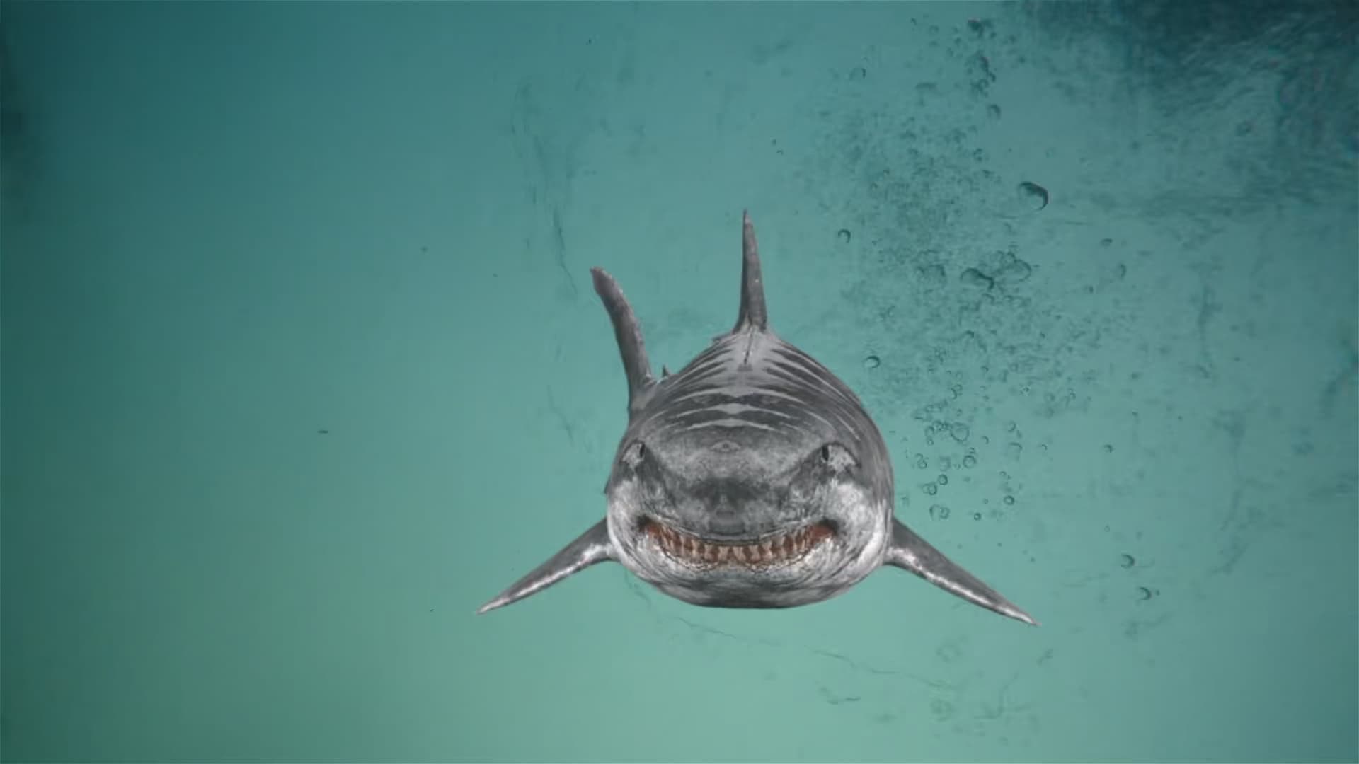Foto de JURASSIC SHARK 2: AQUAPOCALYPSE