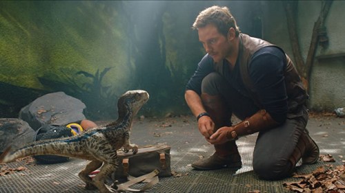 Foto de JURASSIC WORLD: EL REINO CAÍDO