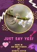 Just Say Yes!