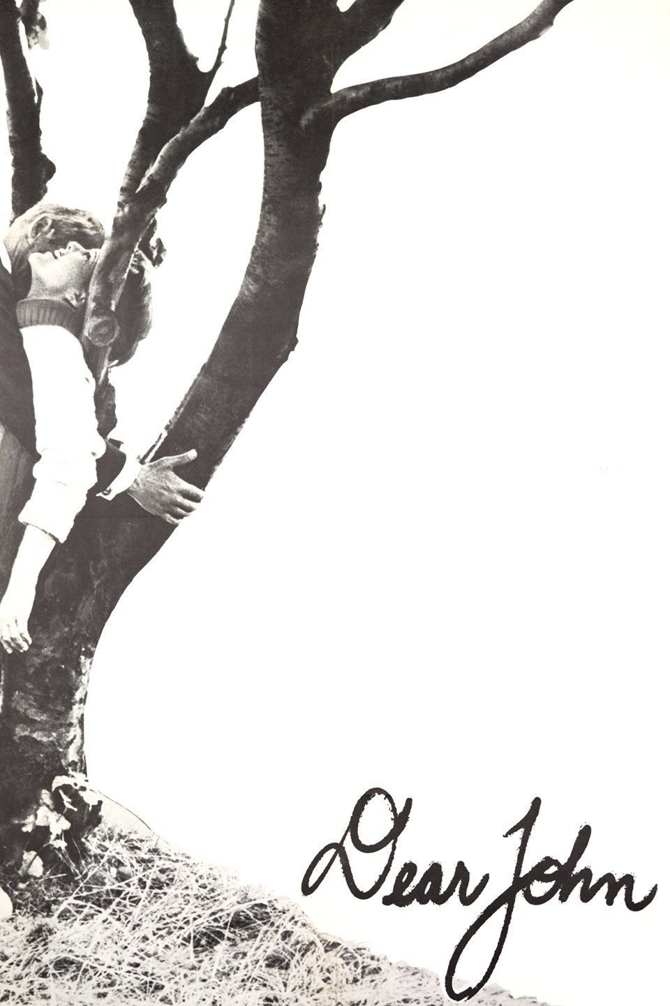Poster de KÄRE JOHN en inglés