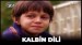 Kalbin Dili