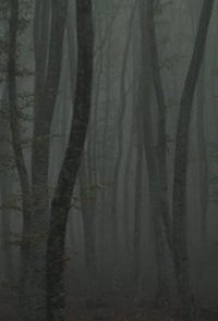 Katafygio II: To monopati tou pagou
