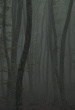 Refuge II: The Ice Path