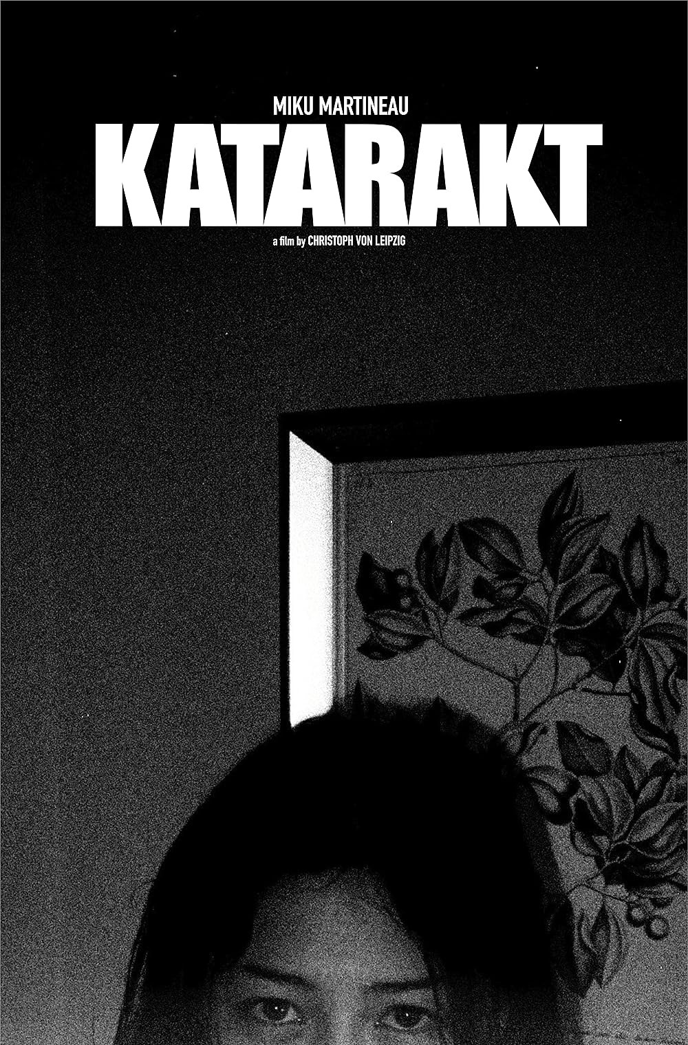 Poster de KATARAKT