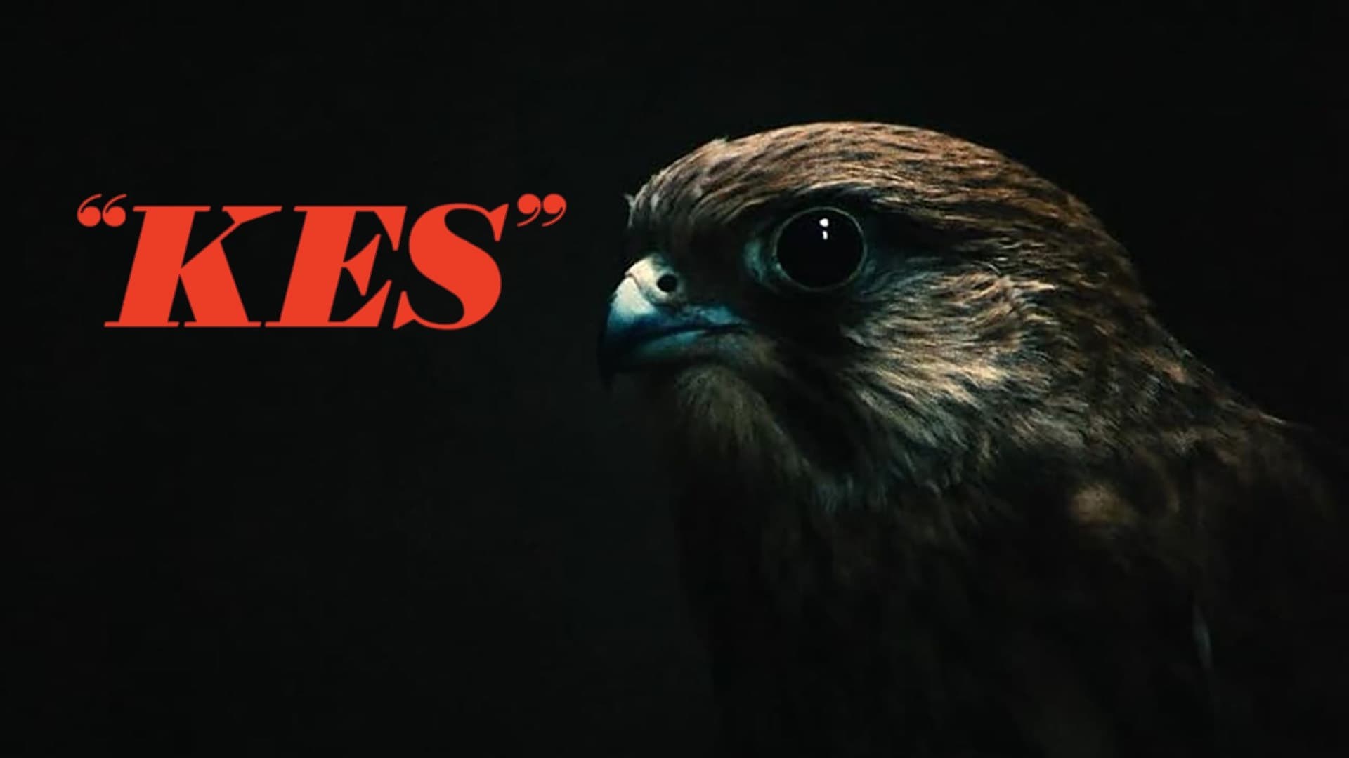 Foto de KES
