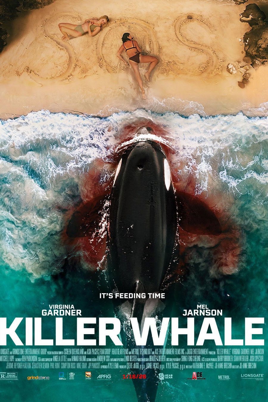 Poster de KILLER WHALE