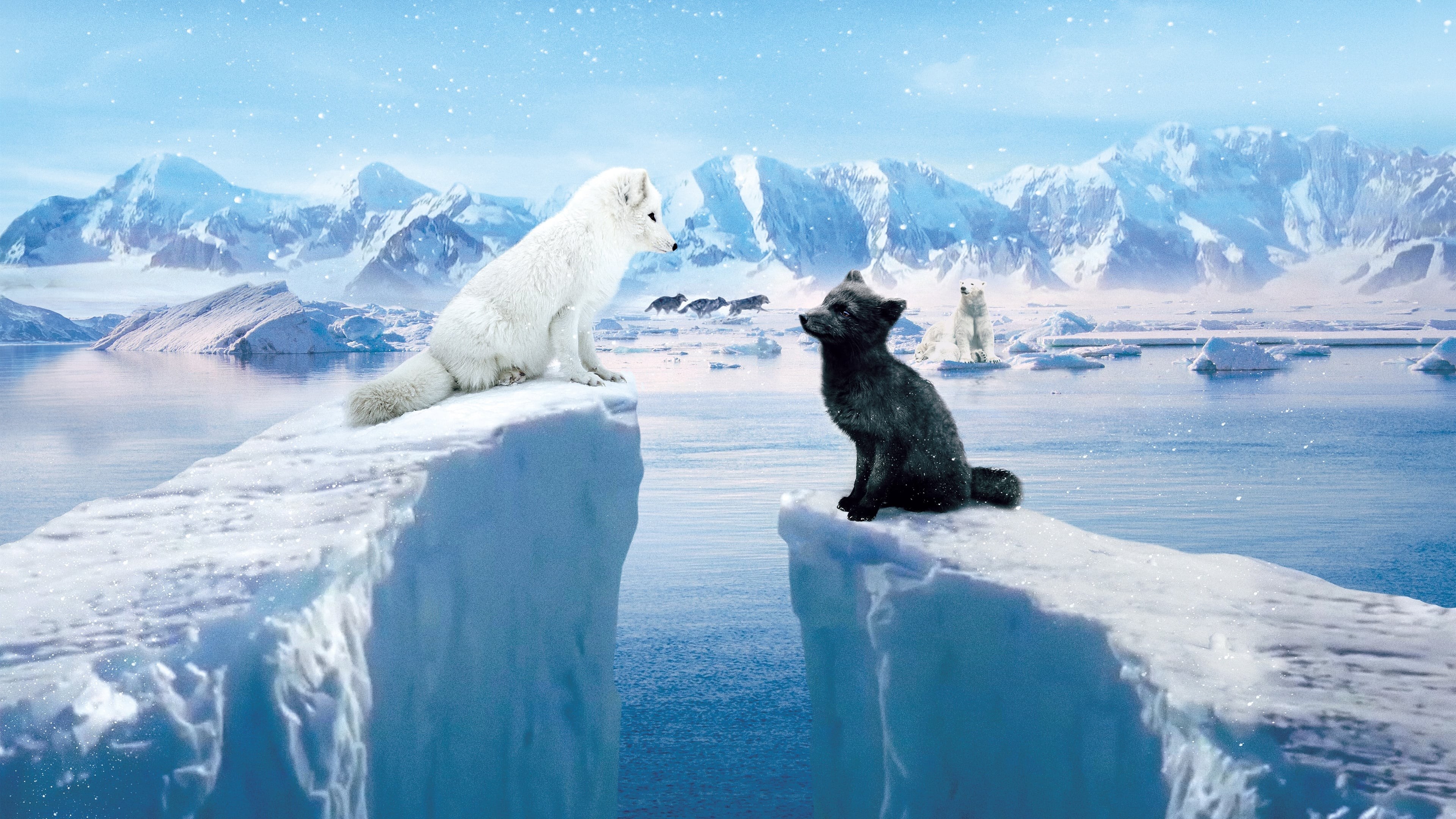 Foto de KINA & YUK