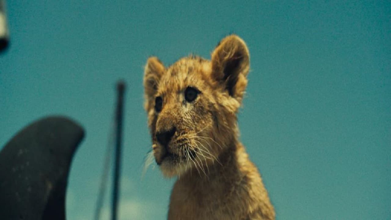 Foto de KING, MI PEQUEÑO REY