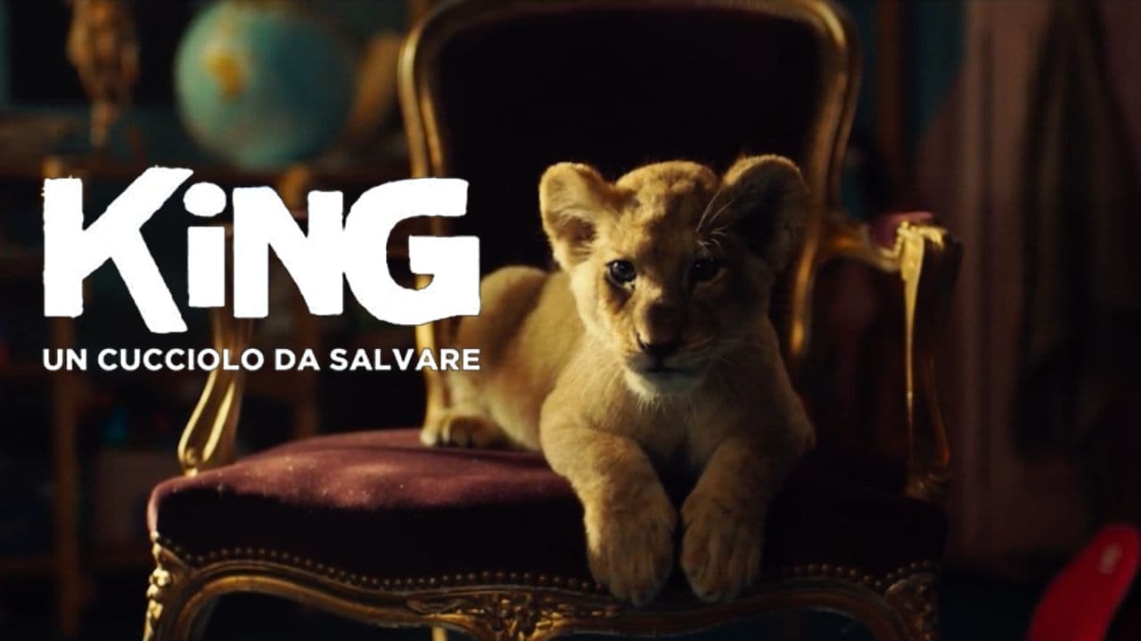 Foto de KING, MI PEQUEÑO REY
