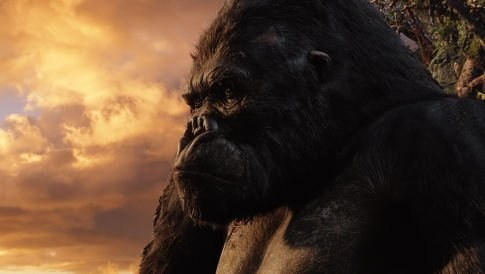 Foto de KING KONG