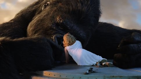 Foto de KING KONG