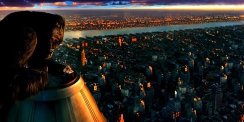 Foto de KING KONG