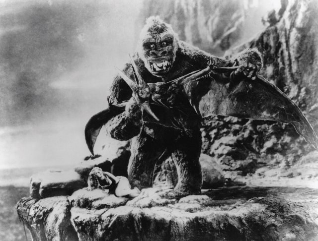 Foto de KING KONG