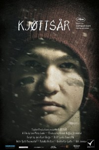 Kjøttsår
