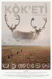 Kok'eti - Walking with Caribou