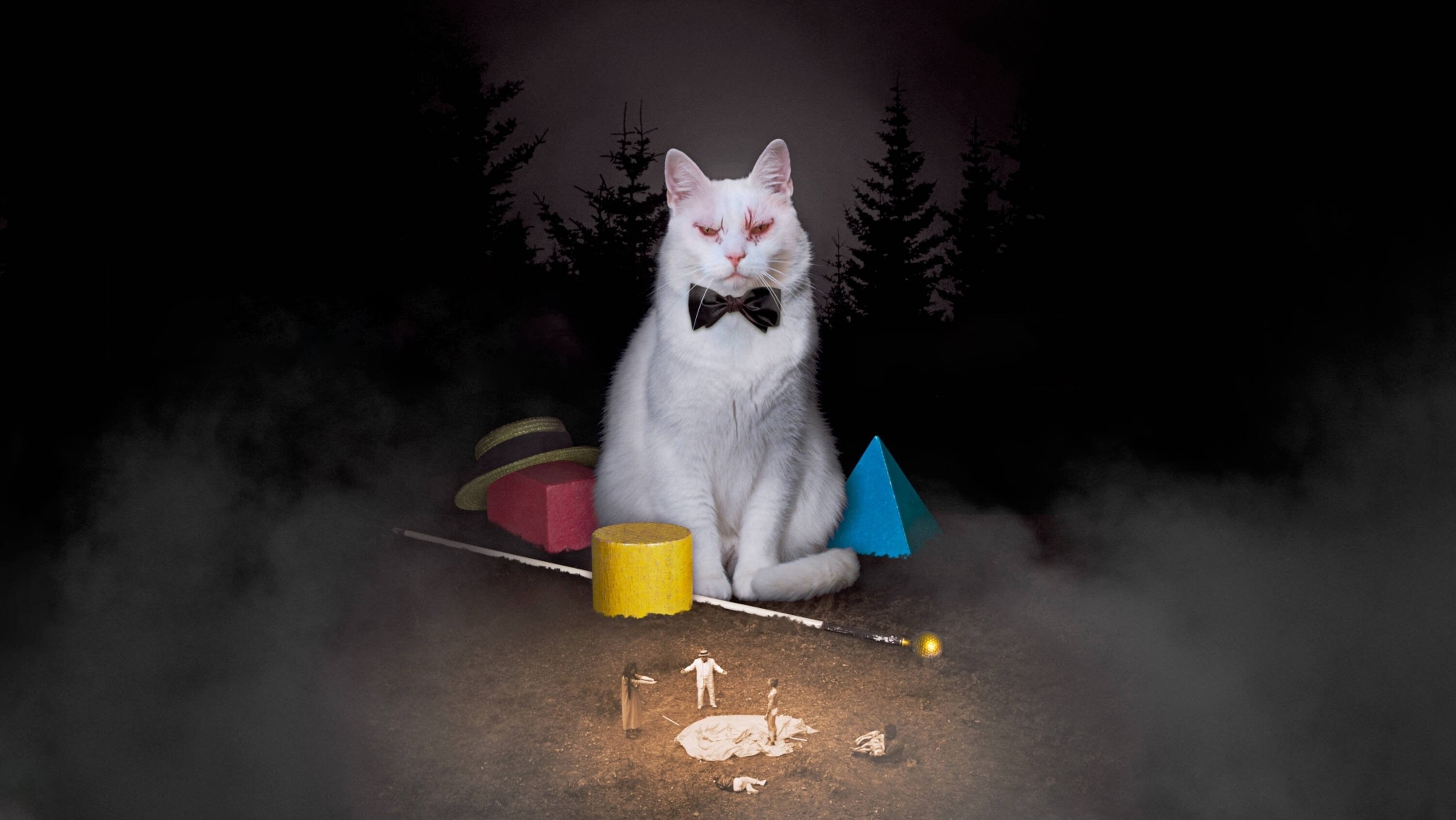 Foto de KOKO-DI KOKO-DA