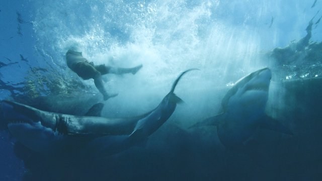 Foto de KON-TIKI