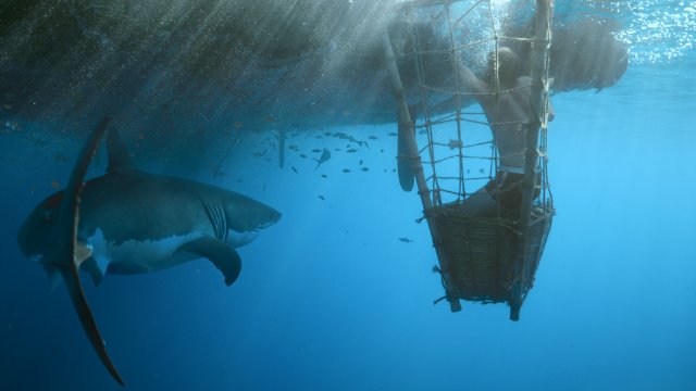 Foto de KON-TIKI